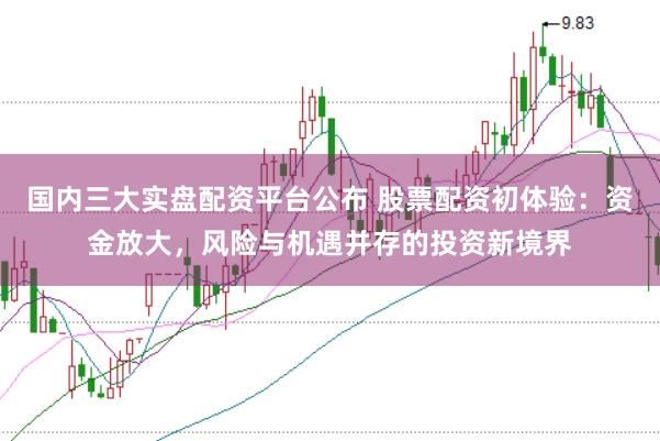 国内三大实盘配资平台公布 股票配资初体验：资金放大，风险与机遇并存的投资新境界