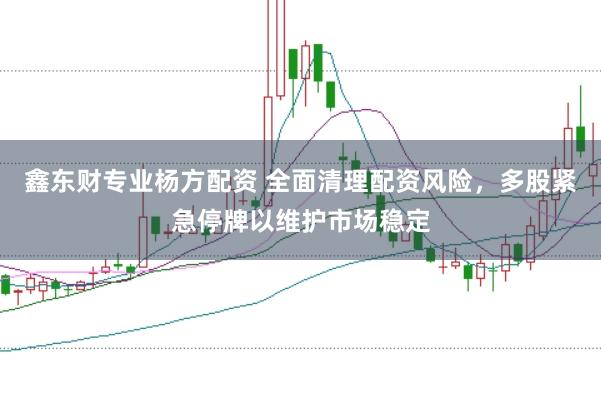 鑫东财专业杨方配资 全面清理配资风险，多股紧急停牌以维护市场稳定