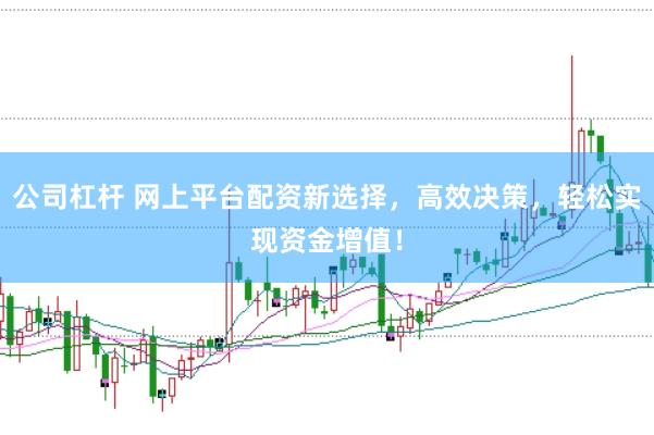 公司杠杆 网上平台配资新选择，高效决策，轻松实现资金增值！
