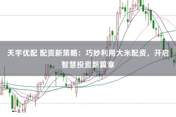天宇优配 配资新策略：巧妙利用大米配资，开启智慧投资新篇章