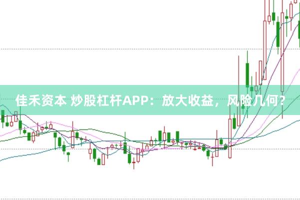 佳禾资本 炒股杠杆APP：放大收益，风险几何？