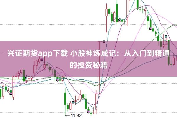兴证期货app下载 小股神炼成记：从入门到精通的投资秘籍