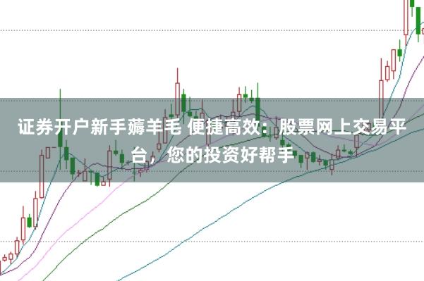 证券开户新手薅羊毛 便捷高效：股票网上交易平台，您的投资好帮手