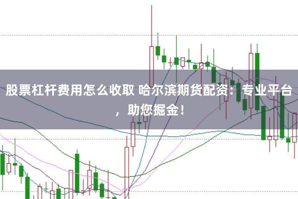 股票杠杆费用怎么收取 哈尔滨期货配资：专业平台，助您掘金！