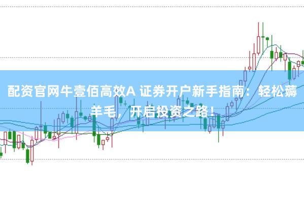 配资官网牛壹佰高效A 证券开户新手指南：轻松薅羊毛，开启投资之路！