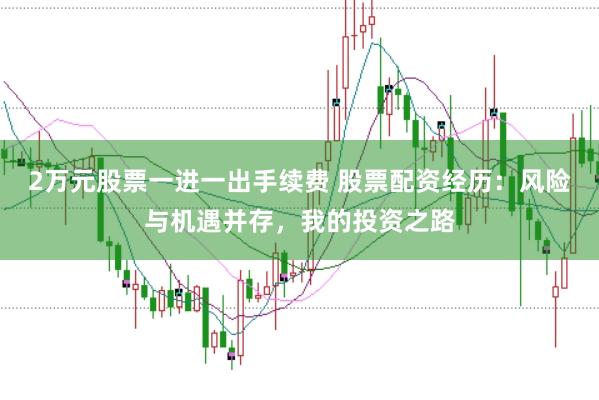 2万元股票一进一出手续费 股票配资经历：风险与机遇并存，我的投资之路
