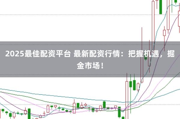 2025最佳配资平台 最新配资行情：把握机遇，掘金市场！