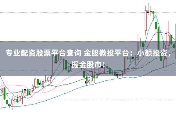 专业配资股票平台查询 金股微投平台：小额投资，掘金股市！