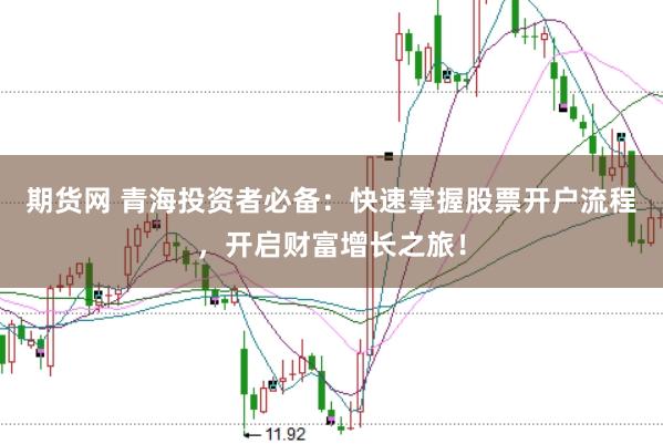 期货网 青海投资者必备：快速掌握股票开户流程，开启财富增长之旅！