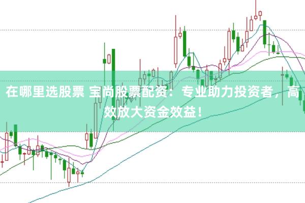 在哪里选股票 宝尚股票配资：专业助力投资者，高效放大资金效益！