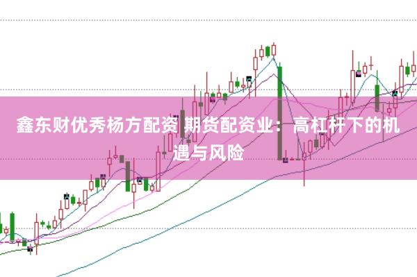 鑫东财优秀杨方配资 期货配资业：高杠杆下的机遇与风险