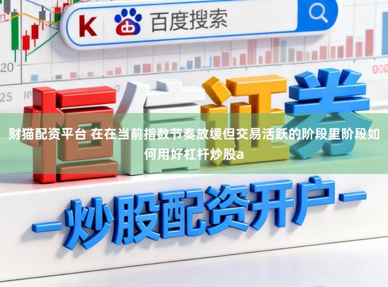 财猫配资平台 在在当前指数节奏放缓但交易活跃的阶段里阶段如何用好杠杆炒股a