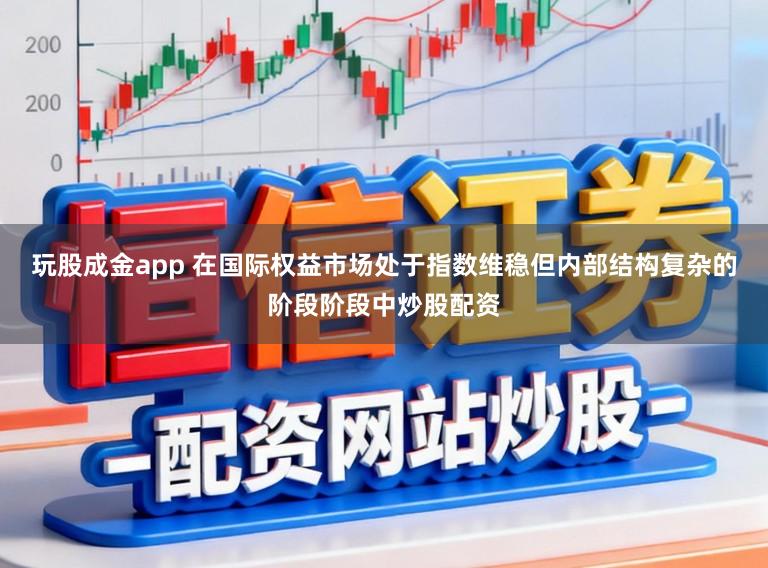 玩股成金app 在国际权益市场处于指数维稳但内部结构复杂的阶段阶段中炒股配资