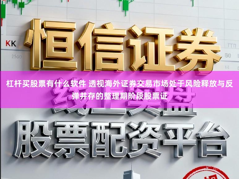 杠杆买股票有什么软件 透视海外证券交易市场处于风险释放与反弹并存的整理期阶段股票证