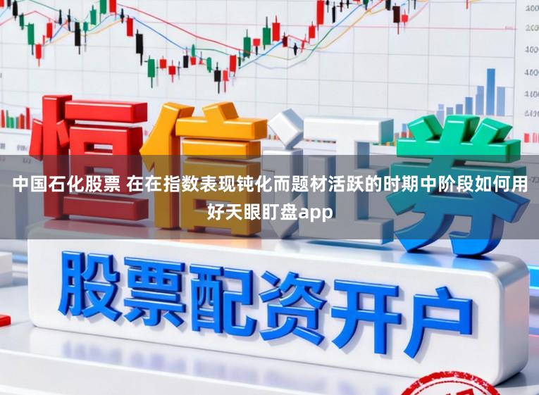 中国石化股票 在在指数表现钝化而题材活跃的时期中阶段如何用好天眼盯盘app